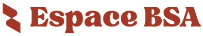Logo BSA copie vf