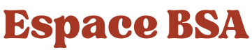 Logo BSA  – 2